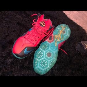 Lebron 11s elite “hero”